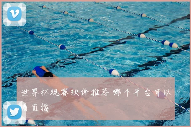 世界杯观赛软件推荐 哪个平台可以看直播