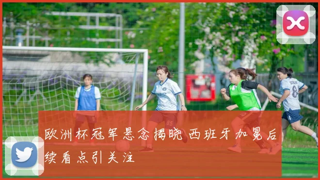 欧洲杯冠军悬念揭晓 西班牙加冕后续看点引关注